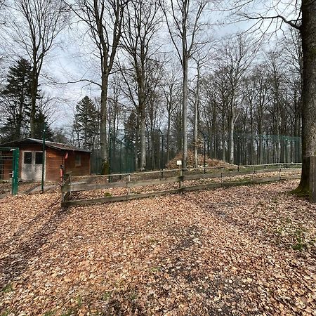 Hochwald Lodge Morbach Exterior foto