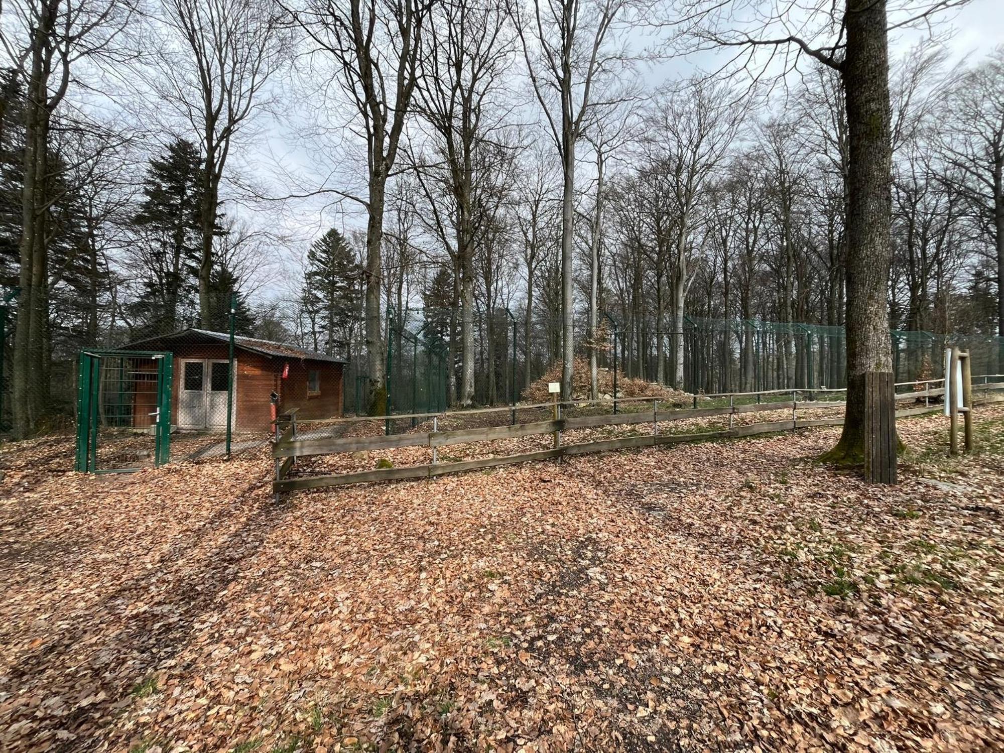 Hochwald Lodge Morbach Exterior foto